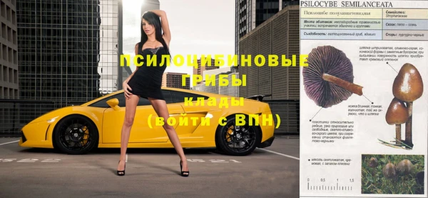 сатива Абдулино