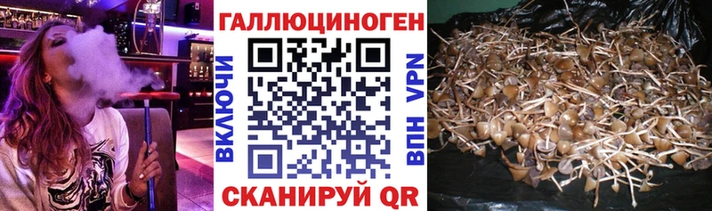 цена наркотик  Нахабино  Галлюциногенные грибы мухоморы 